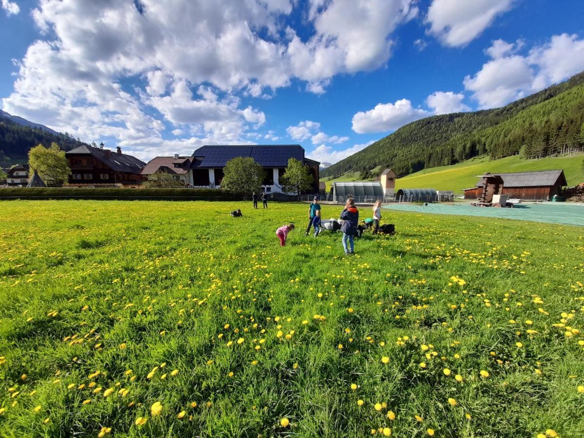 Sonnenchalet Neusess Mauterndorf  Eksteriør billede